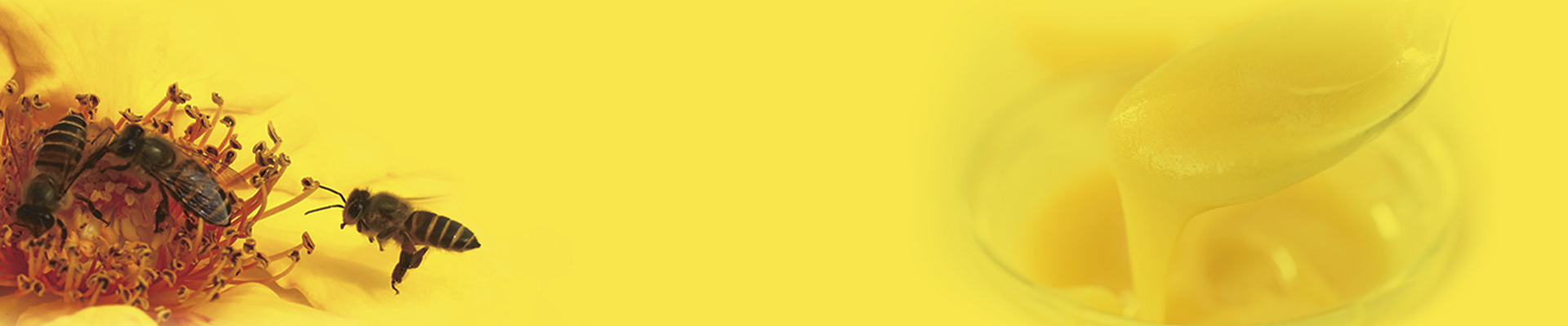 Bee Products