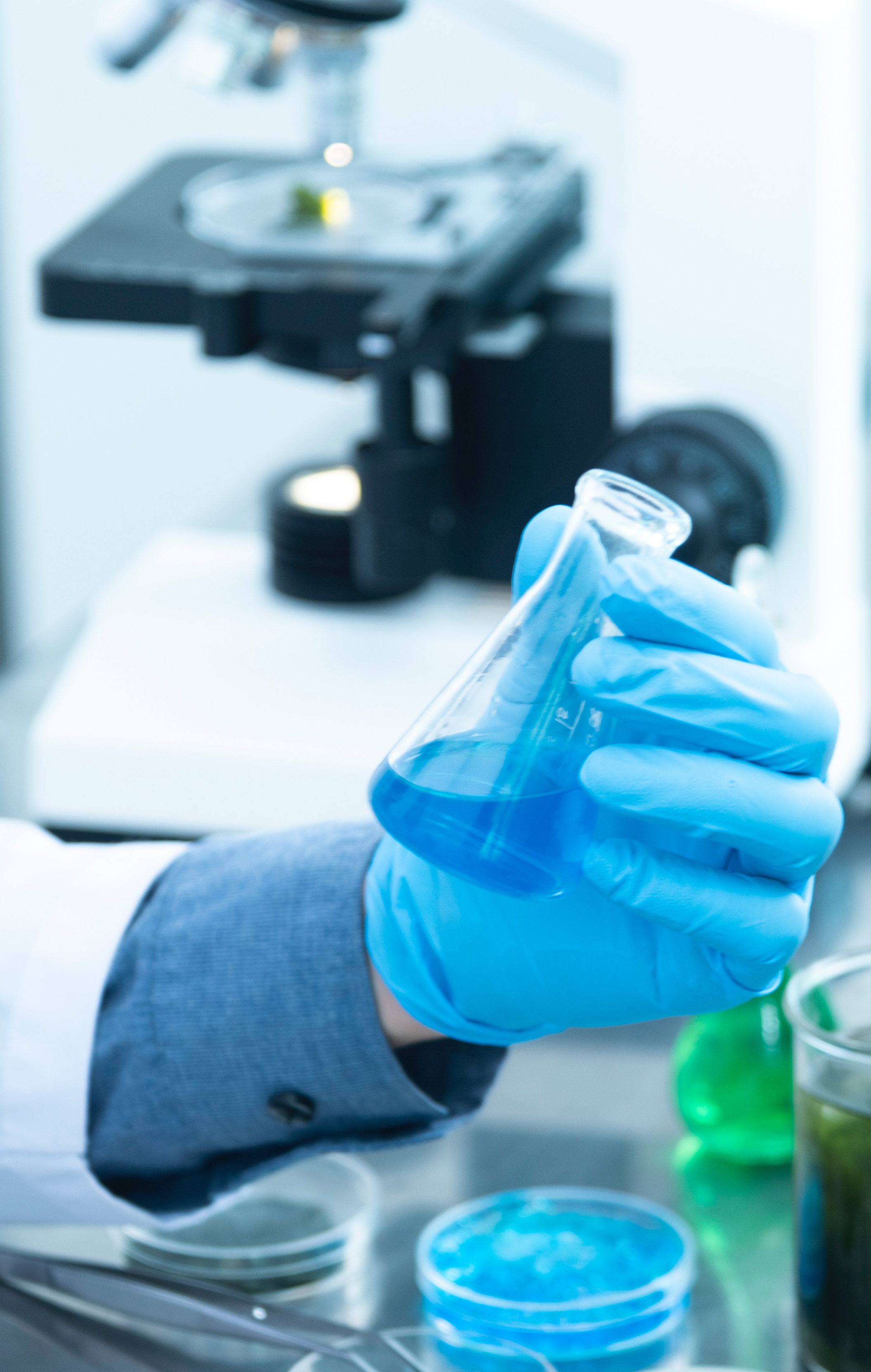 Raw Materials Testing