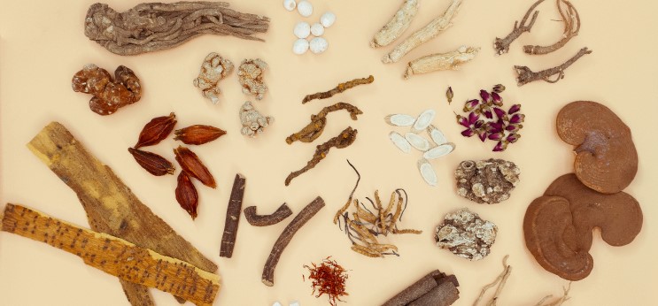 Medicinal Herbs